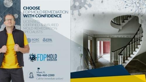 FDP Mold Remediation of Miami