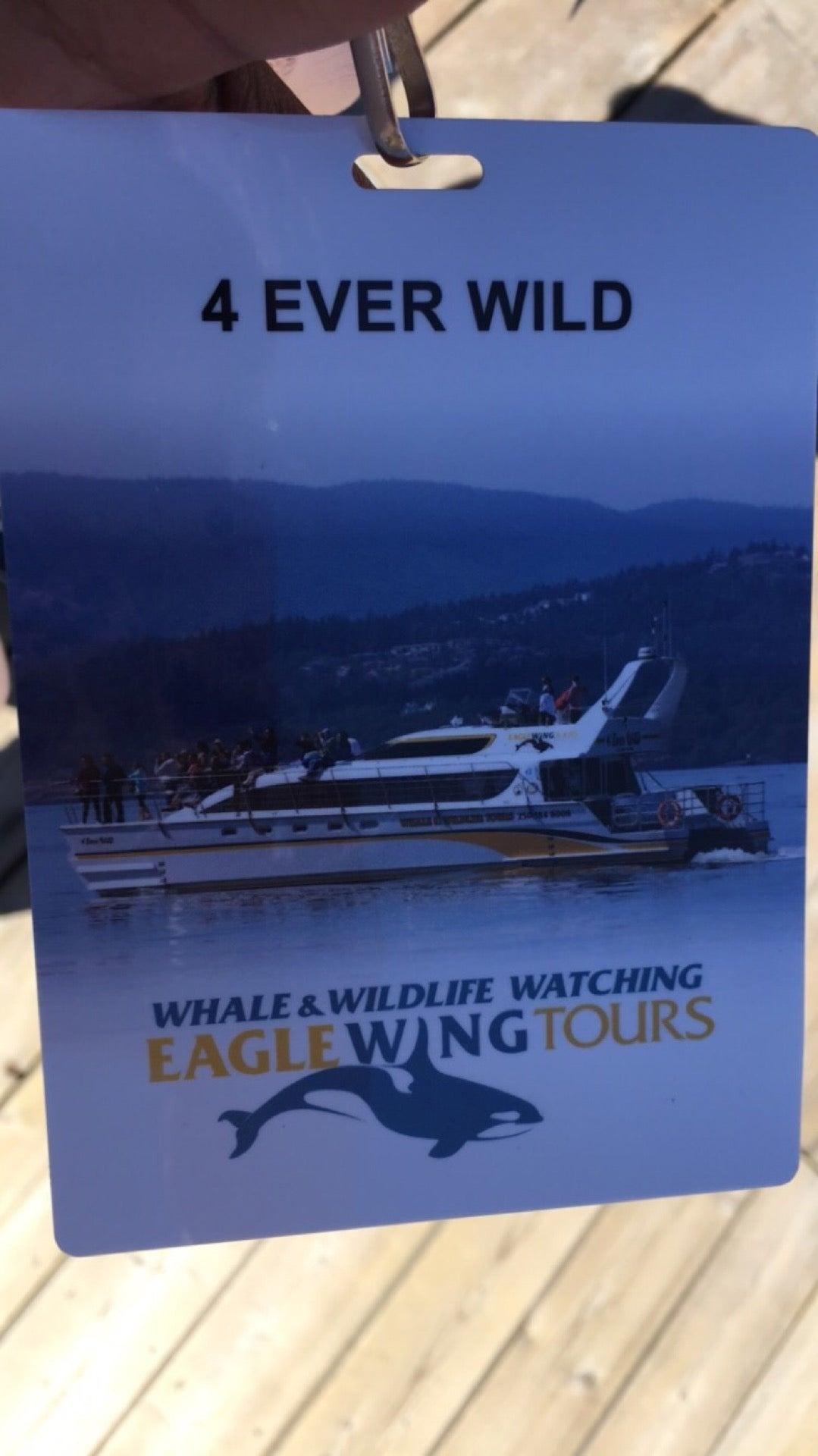 Eagle Wing Whale & Wildlife Watching Tours