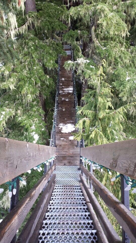 Ziptrek Ecotours