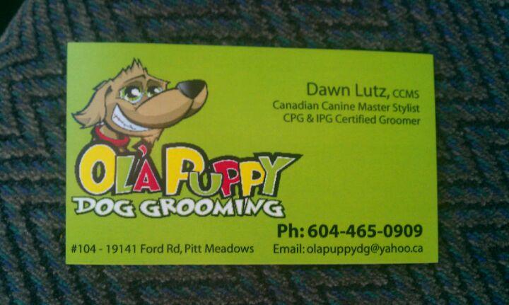 Ola Puppy Dog Grooming