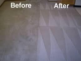 Kelly Carpet Cleaning Ltd