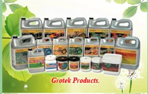 City Garden Supply Ltd