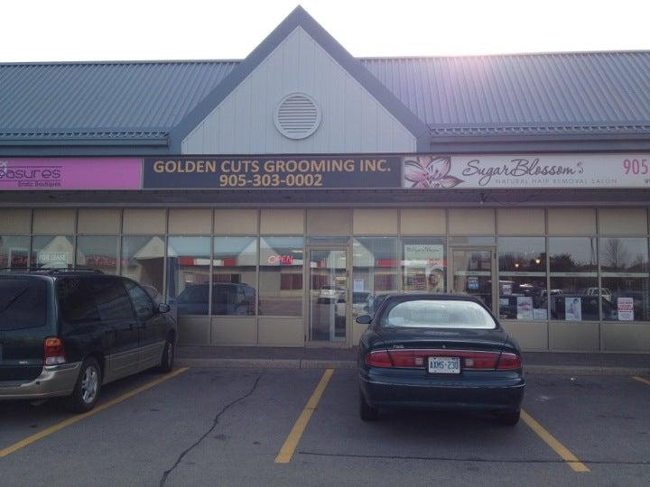 Golden Cuts Grooming