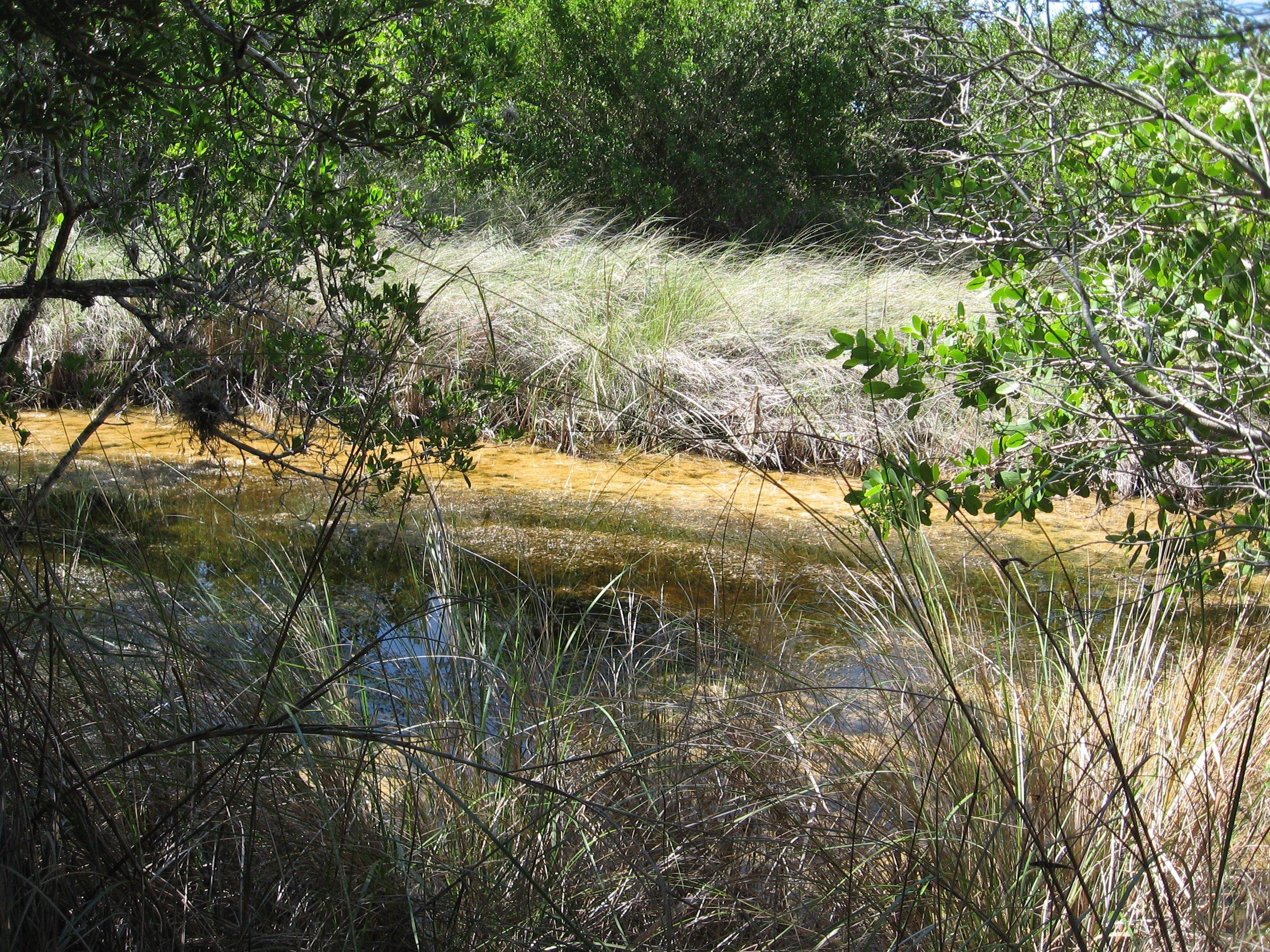 Sanibel-Captiva Conservation Foundation