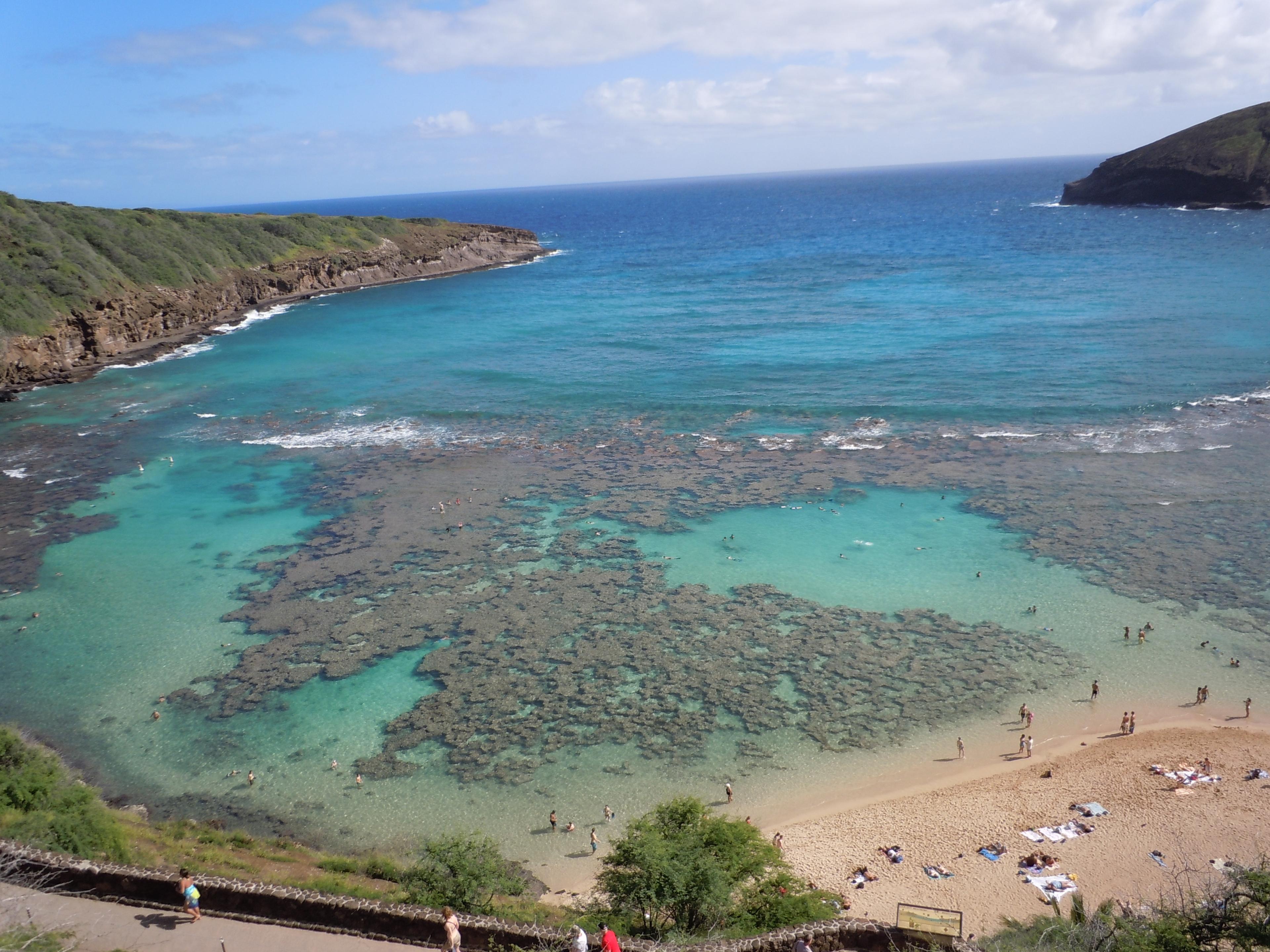 Oahu Van Charter Tours - AA Hawaii Tours