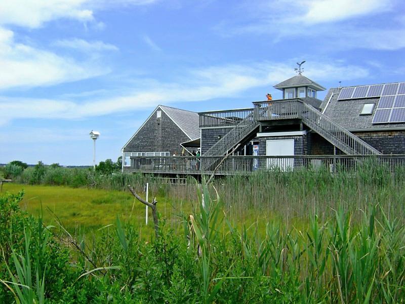 The Wetlands Institute