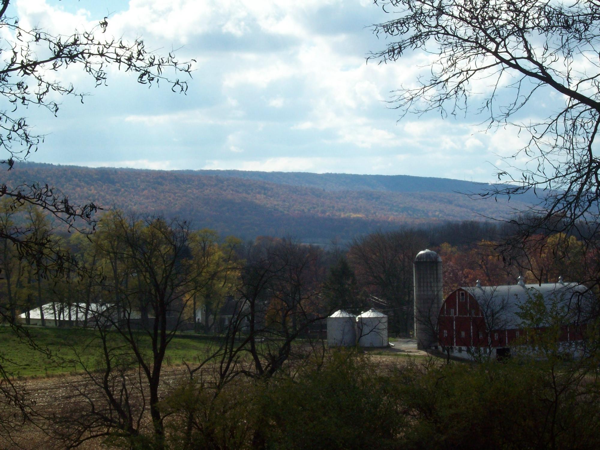 Meyer Dairy Store