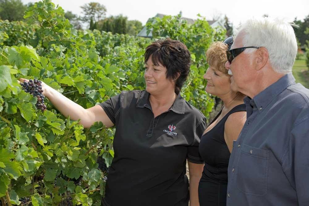 Winery Tours of Niagara