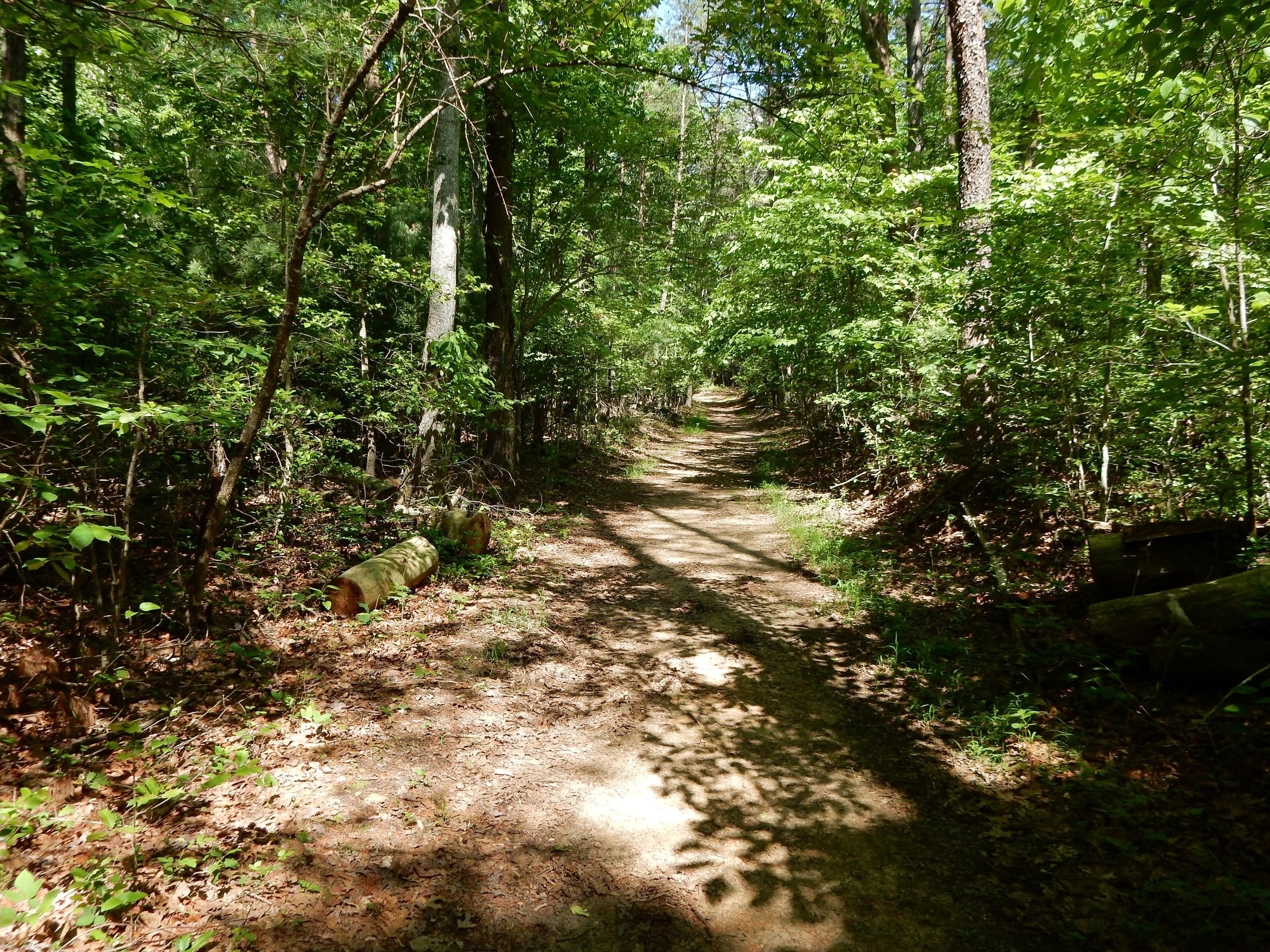 Wilderness National Military Park