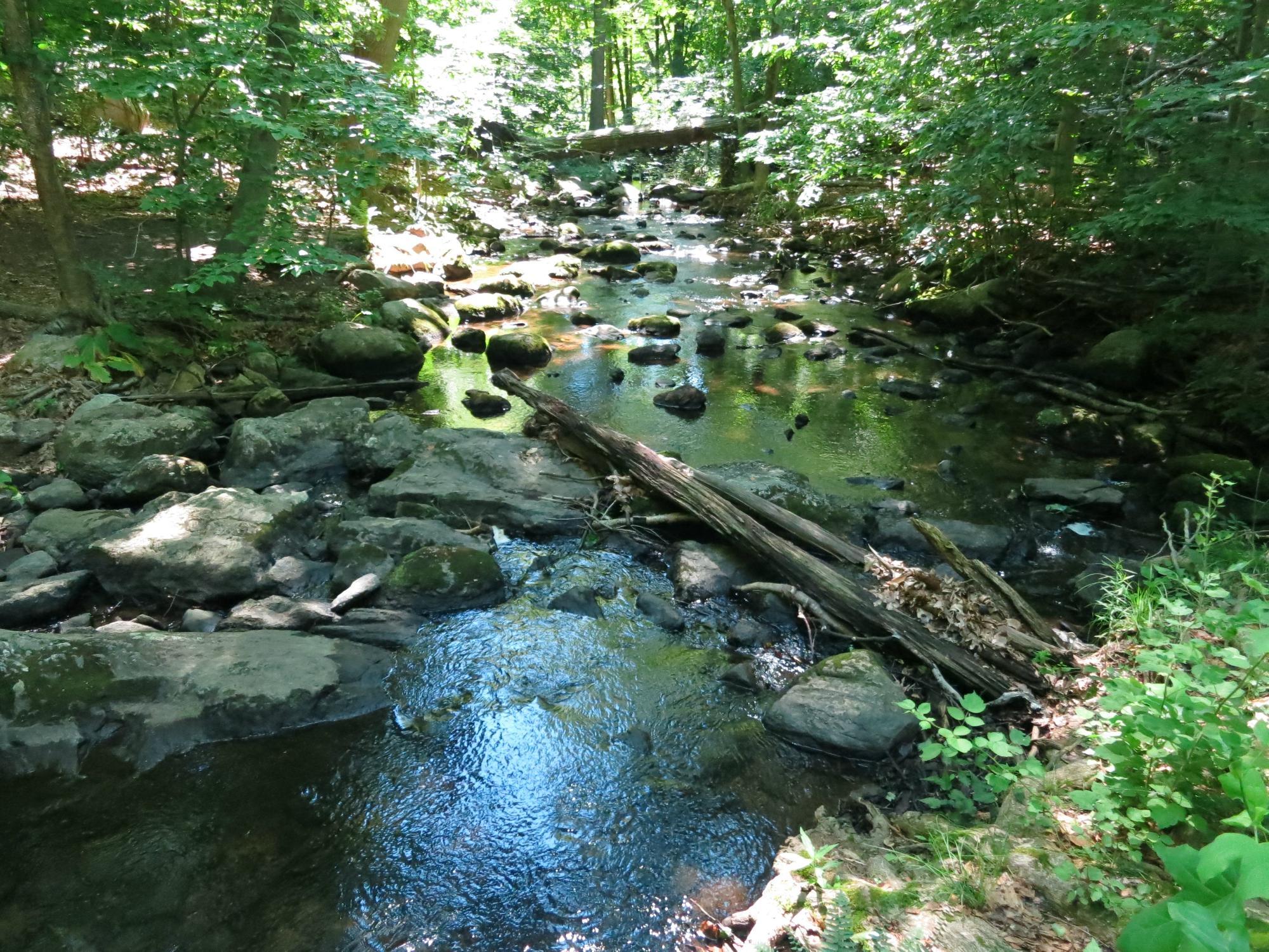 Greenwich Audubon Center