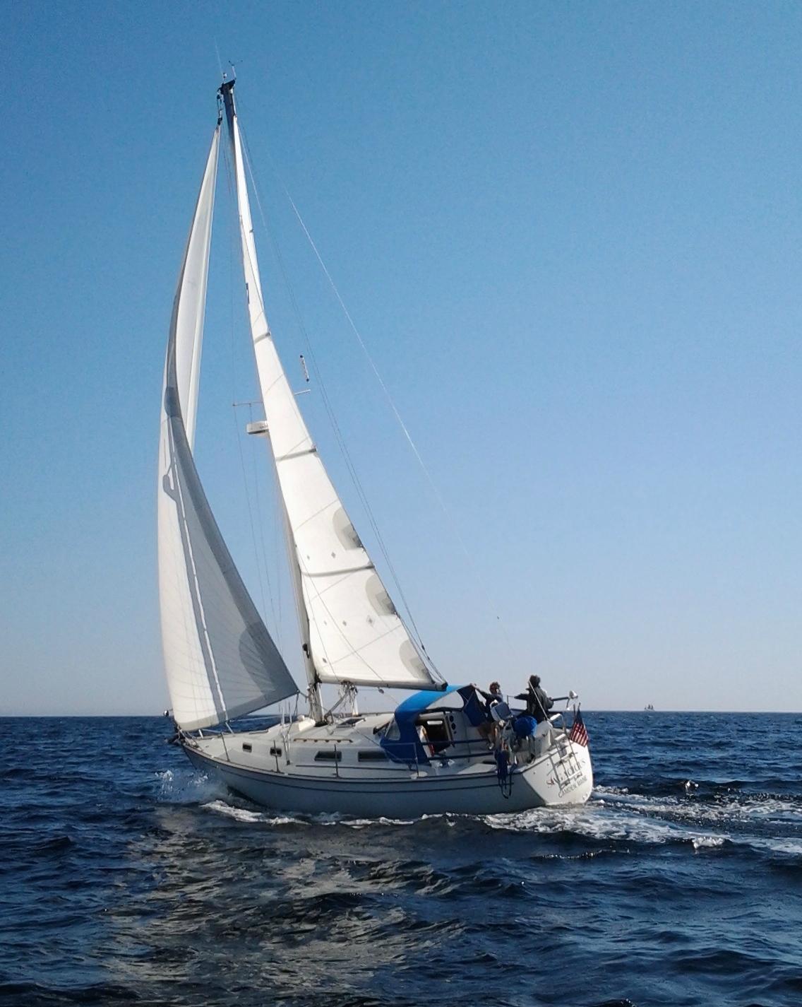 Camden Sailing Charters