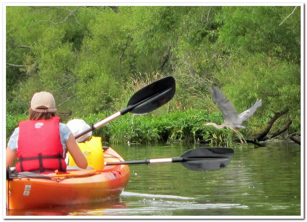 UMass Lowell Kayak Center