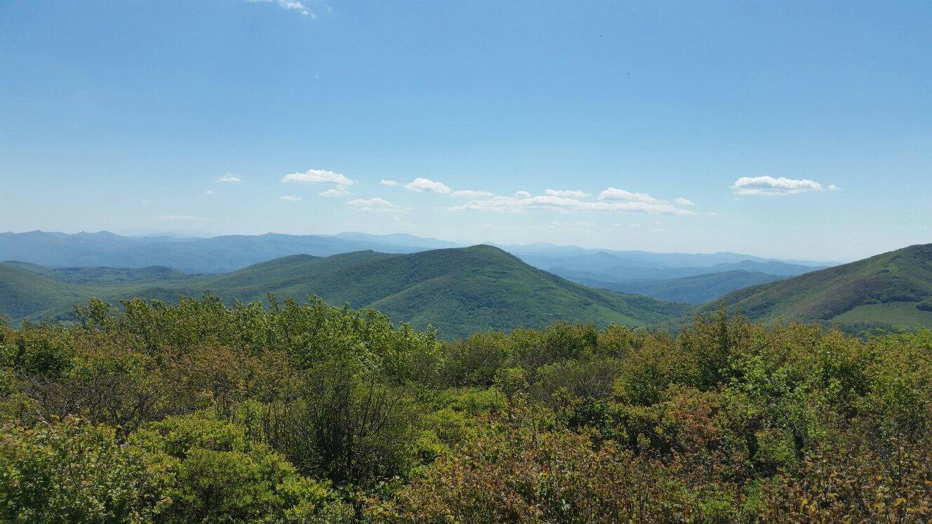 Elk Knob State Park