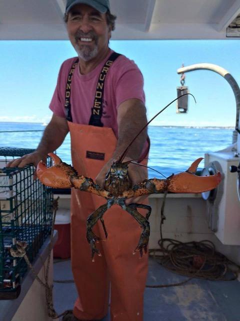 Rugosa Lobster Tours