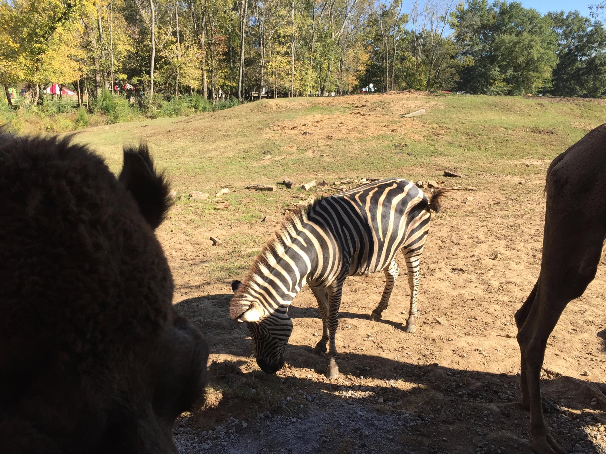 Pettit Creek Farms