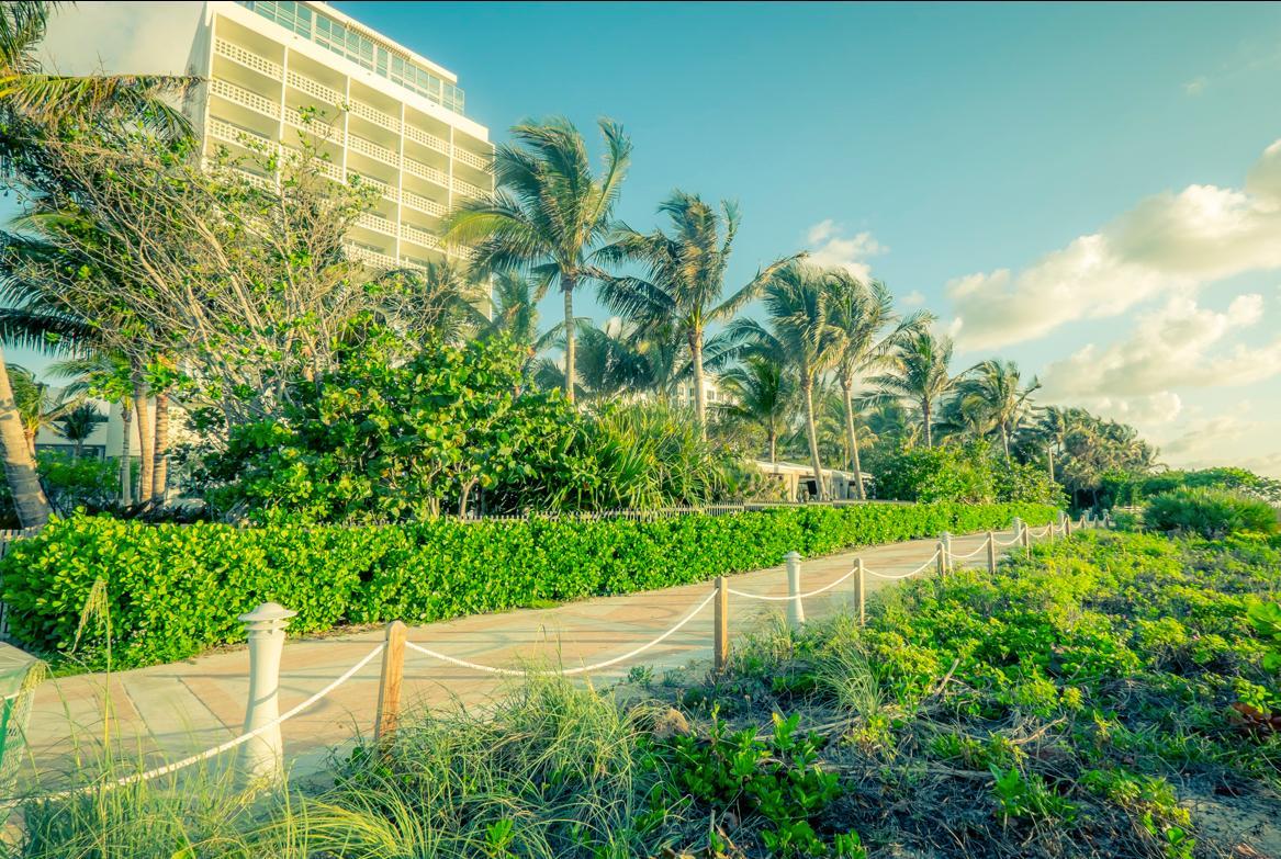 Miami Beach Boardwalk