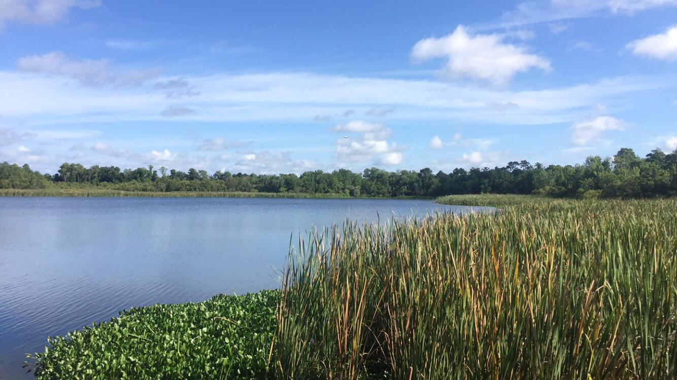 Airport Lakes Park