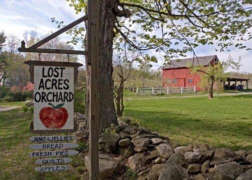 Lost Acres Orchard