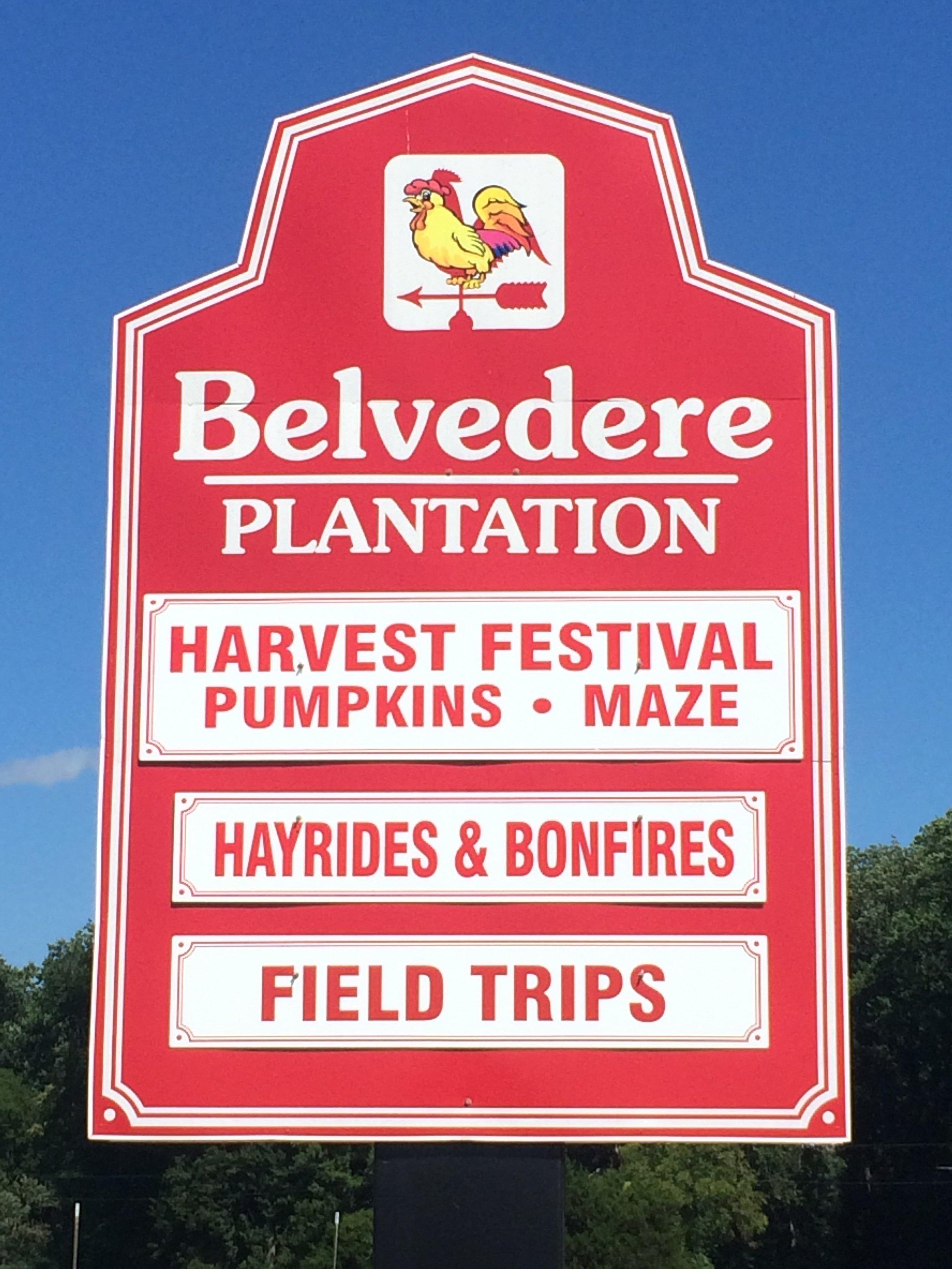 Belvedere Plantation