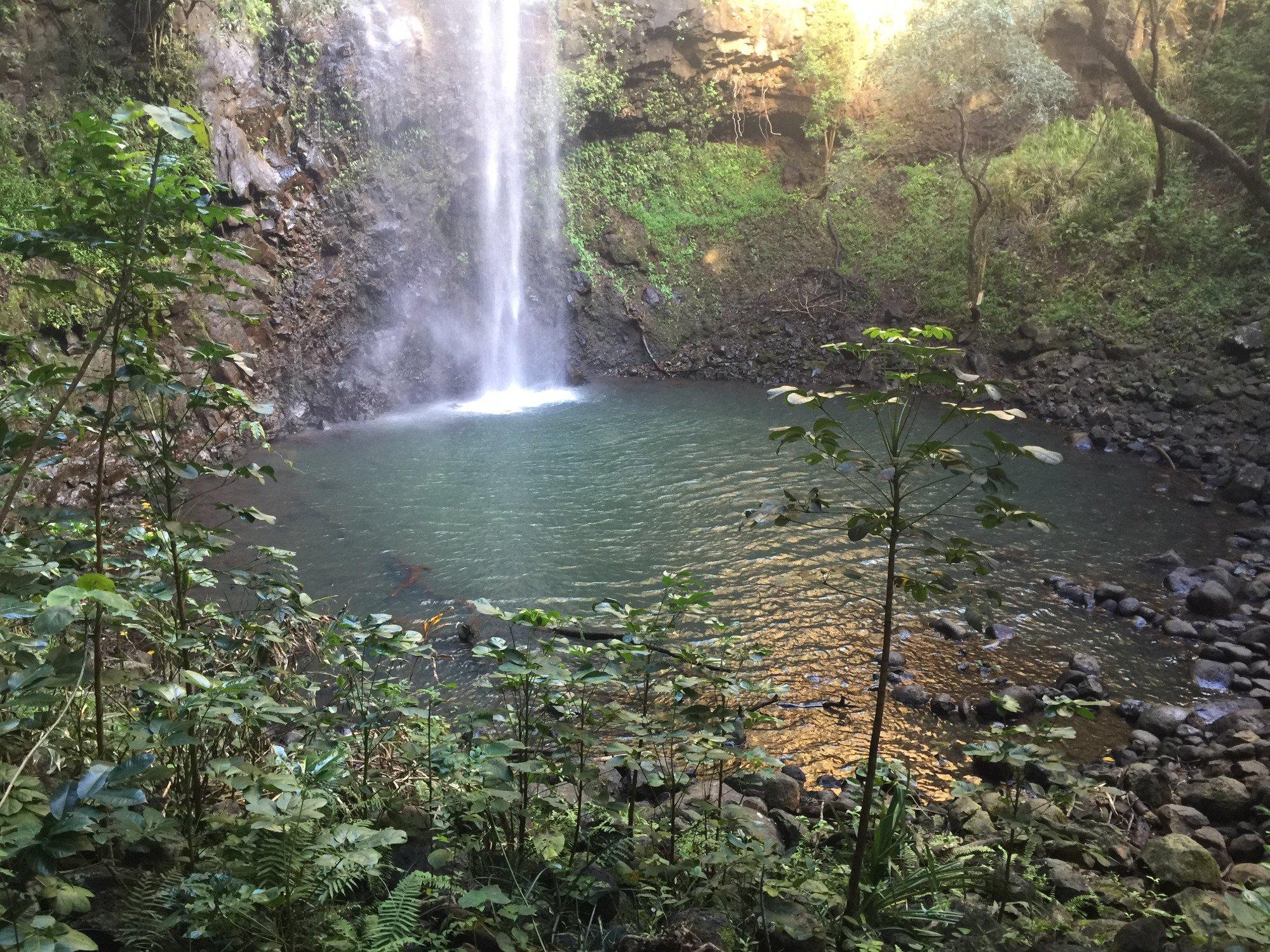 Secret Falls Trail