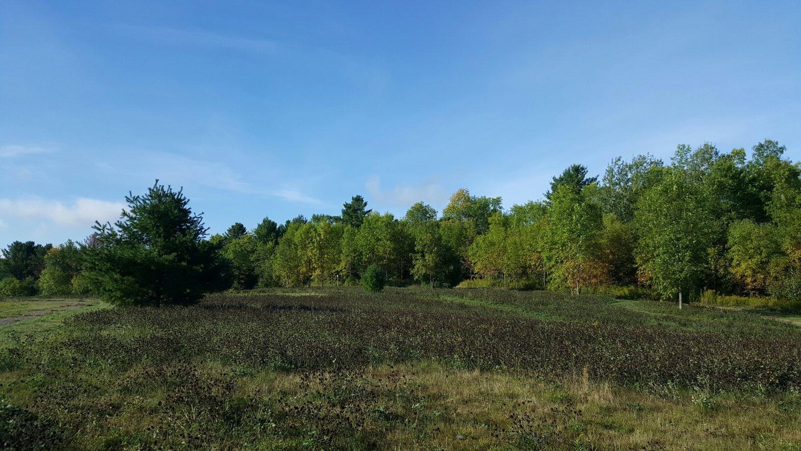 Quarry Road Trails