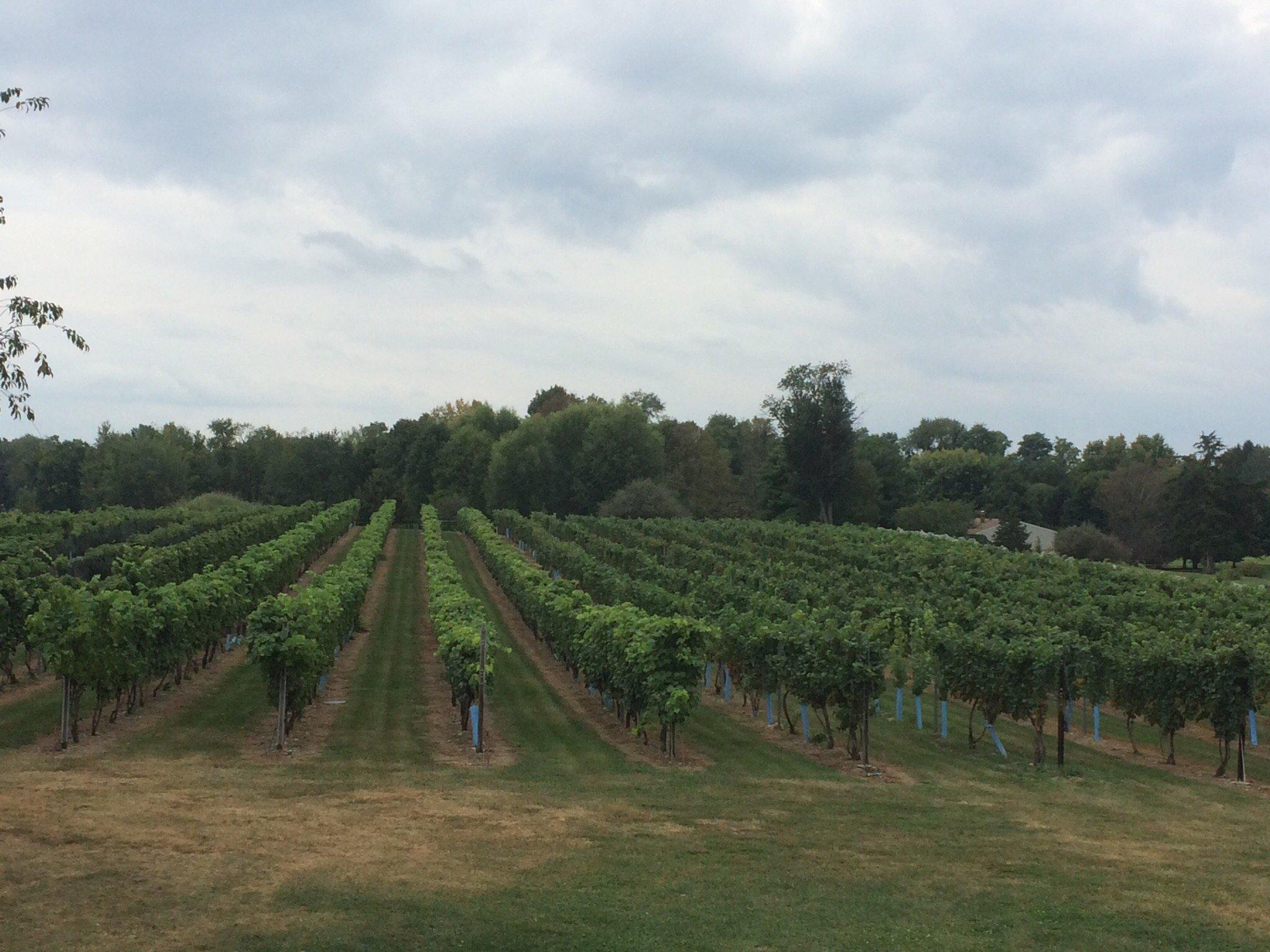 Clermont Vineyards & Winery