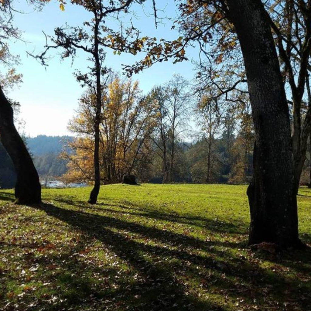 River Forks County Park