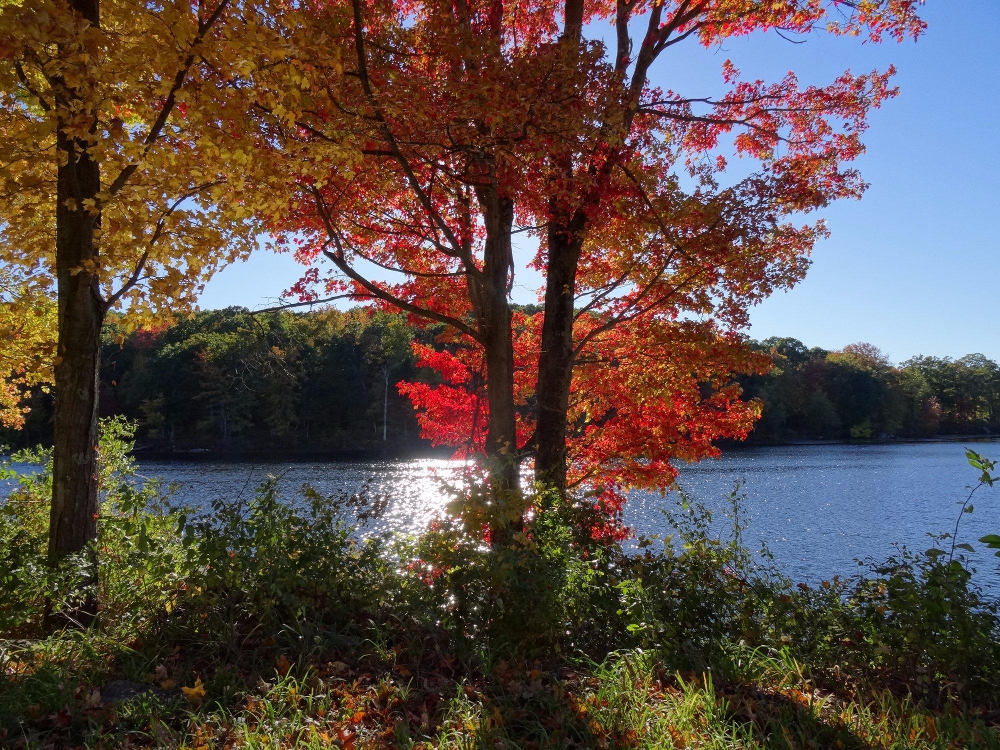 Macedonia Brook State Park