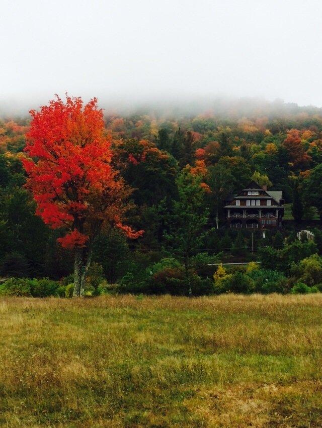 Mountain Top Arboretum