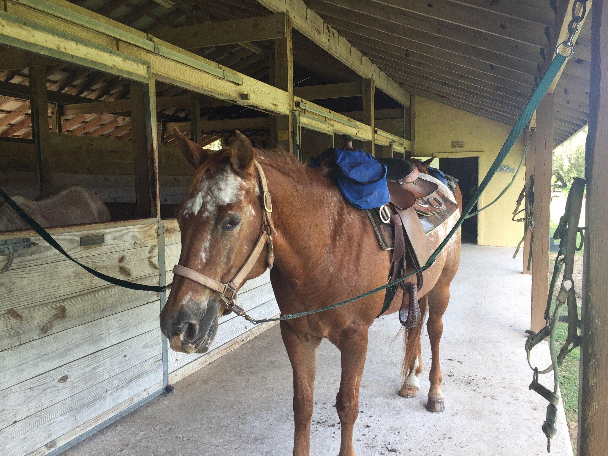 Redland Equestrian Center