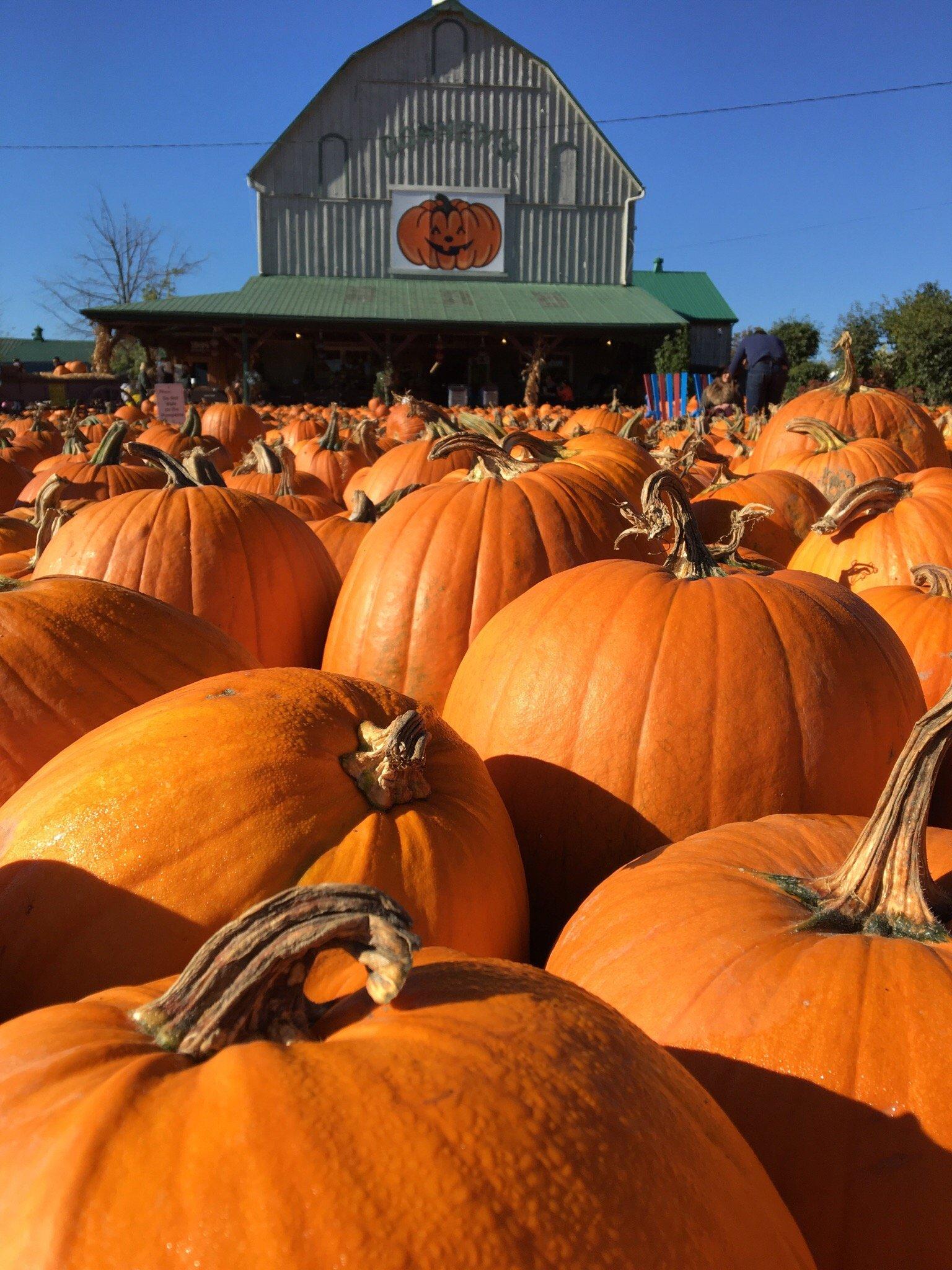 Downey's Farm Market