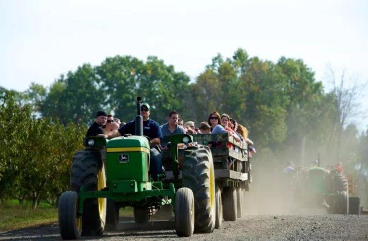 Shady Brook Farm