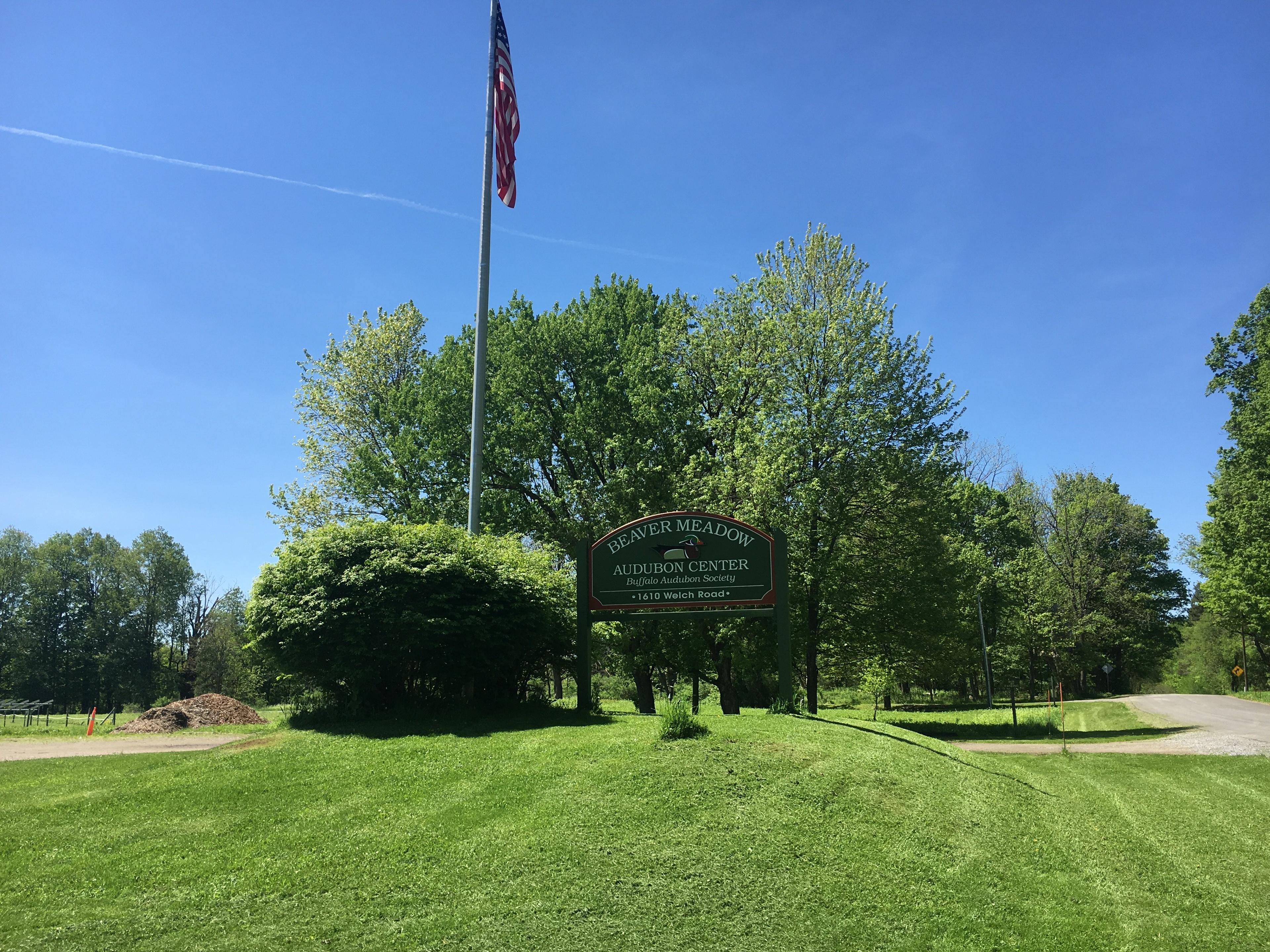 Buffalo Audubon Society