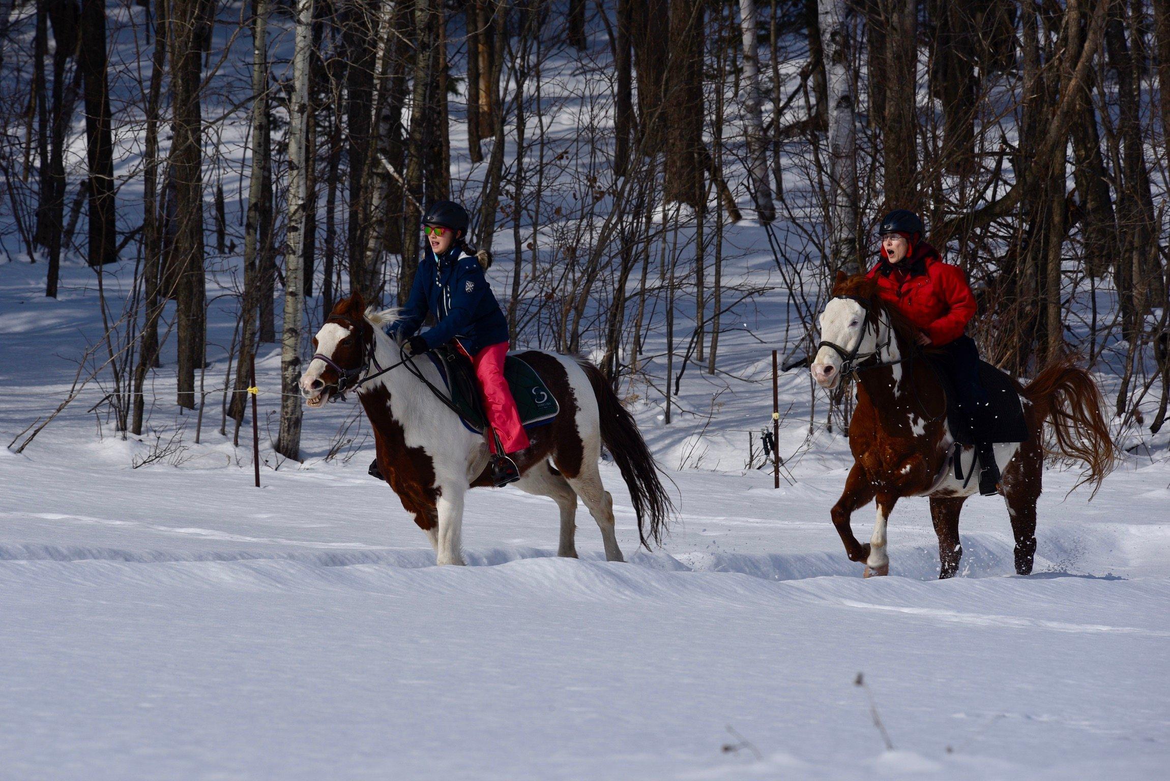 Equitation Jacques Robidas