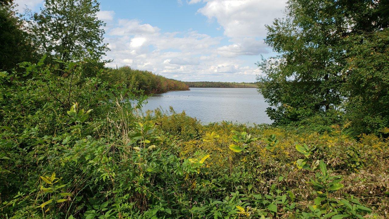 Beaver Lake Nature Center