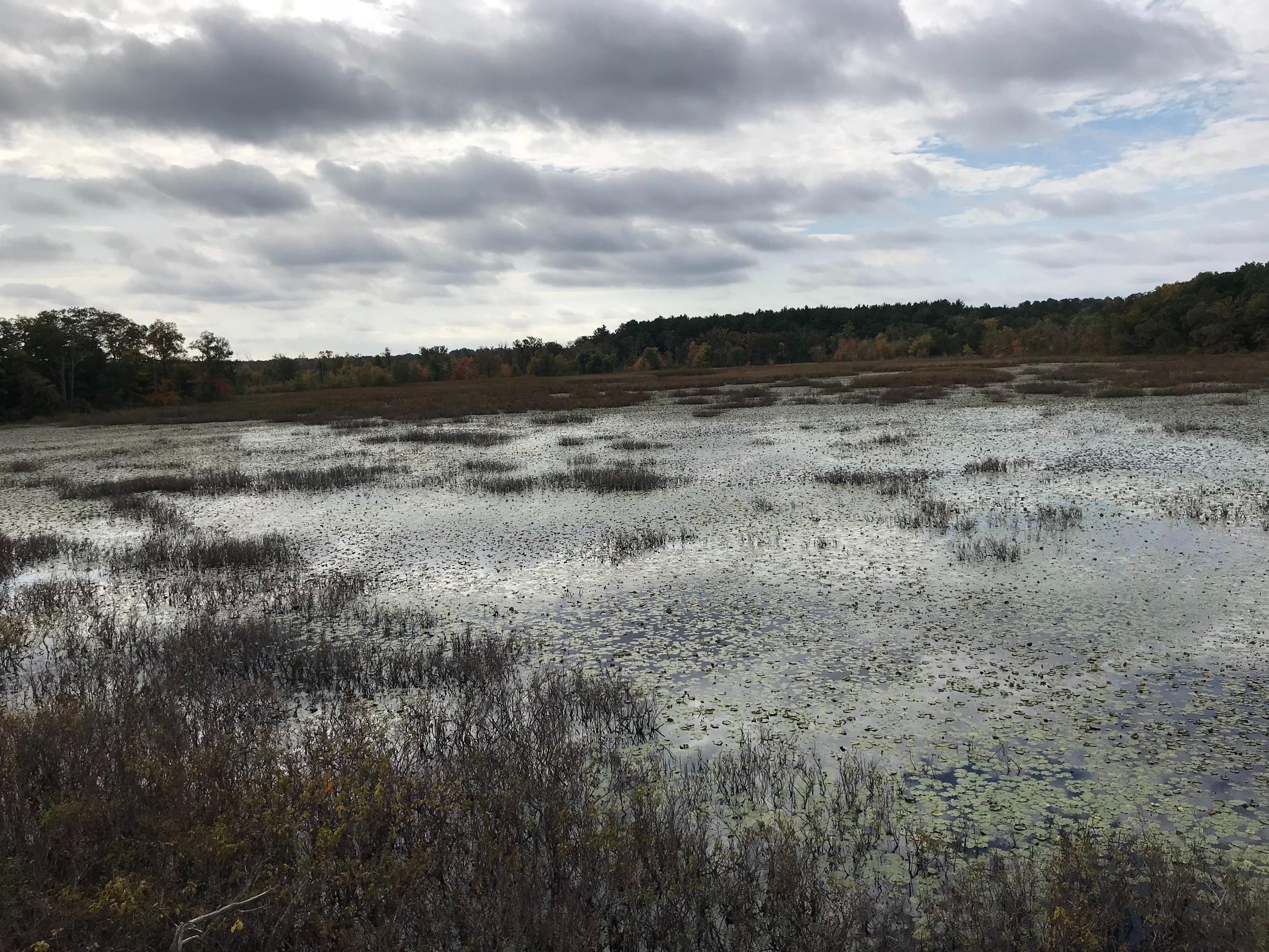 Mass Audubon Society