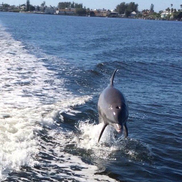 Your Day On The Water