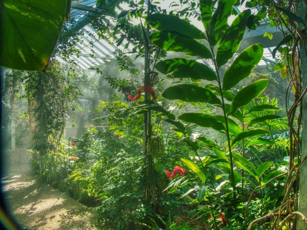 Cambridge Butterfly Conservatory