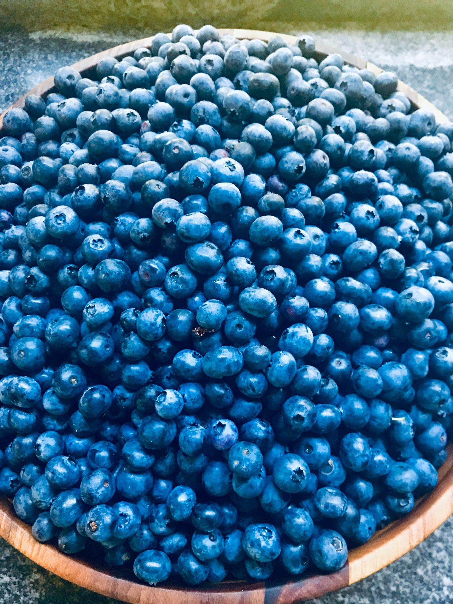 Patt's Blueberry Farm