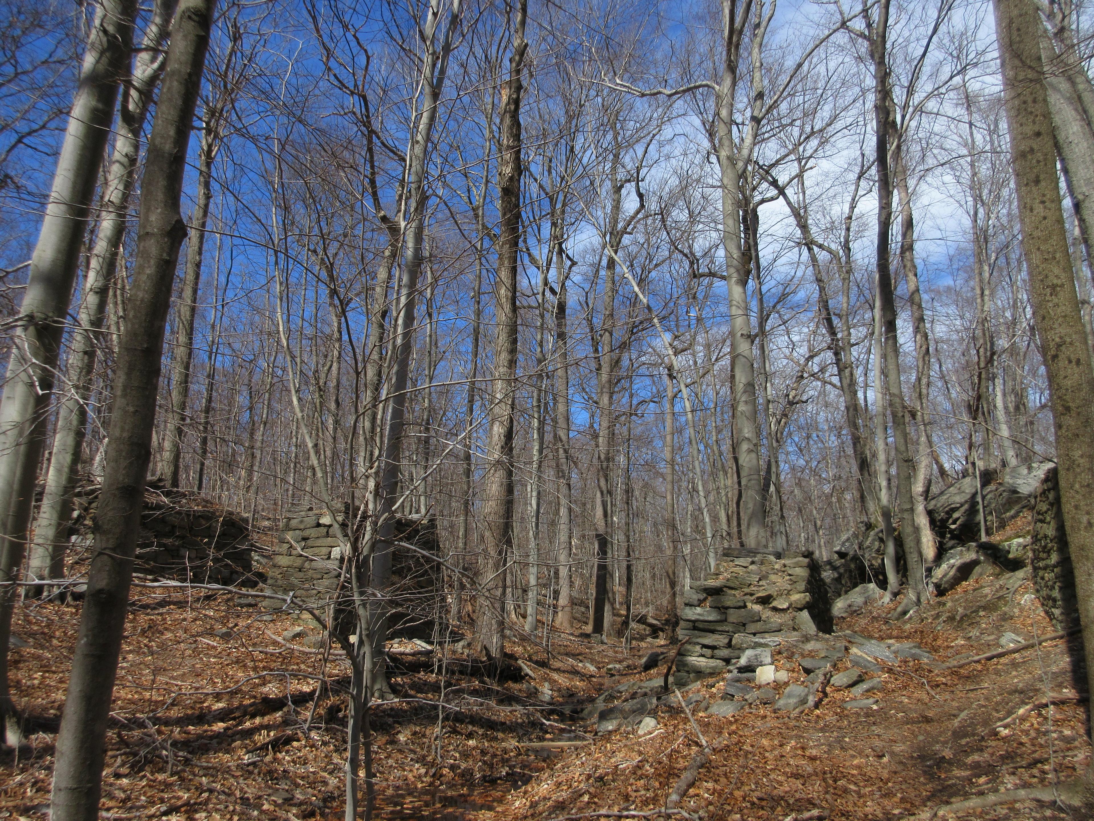 Saxon Woods Park