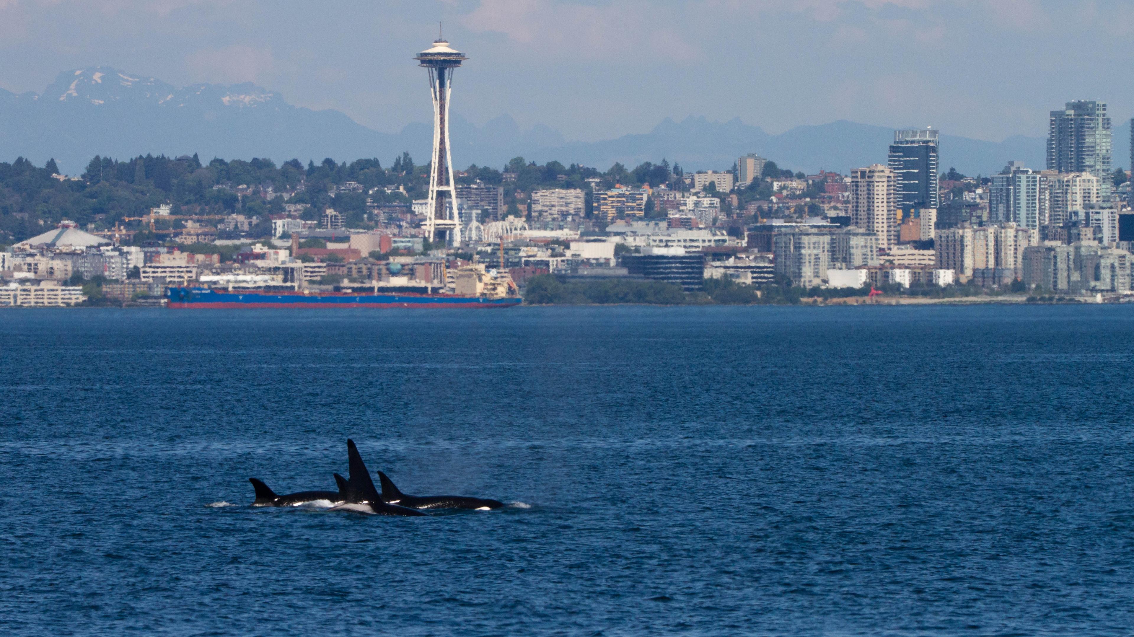 Puget Sound Express