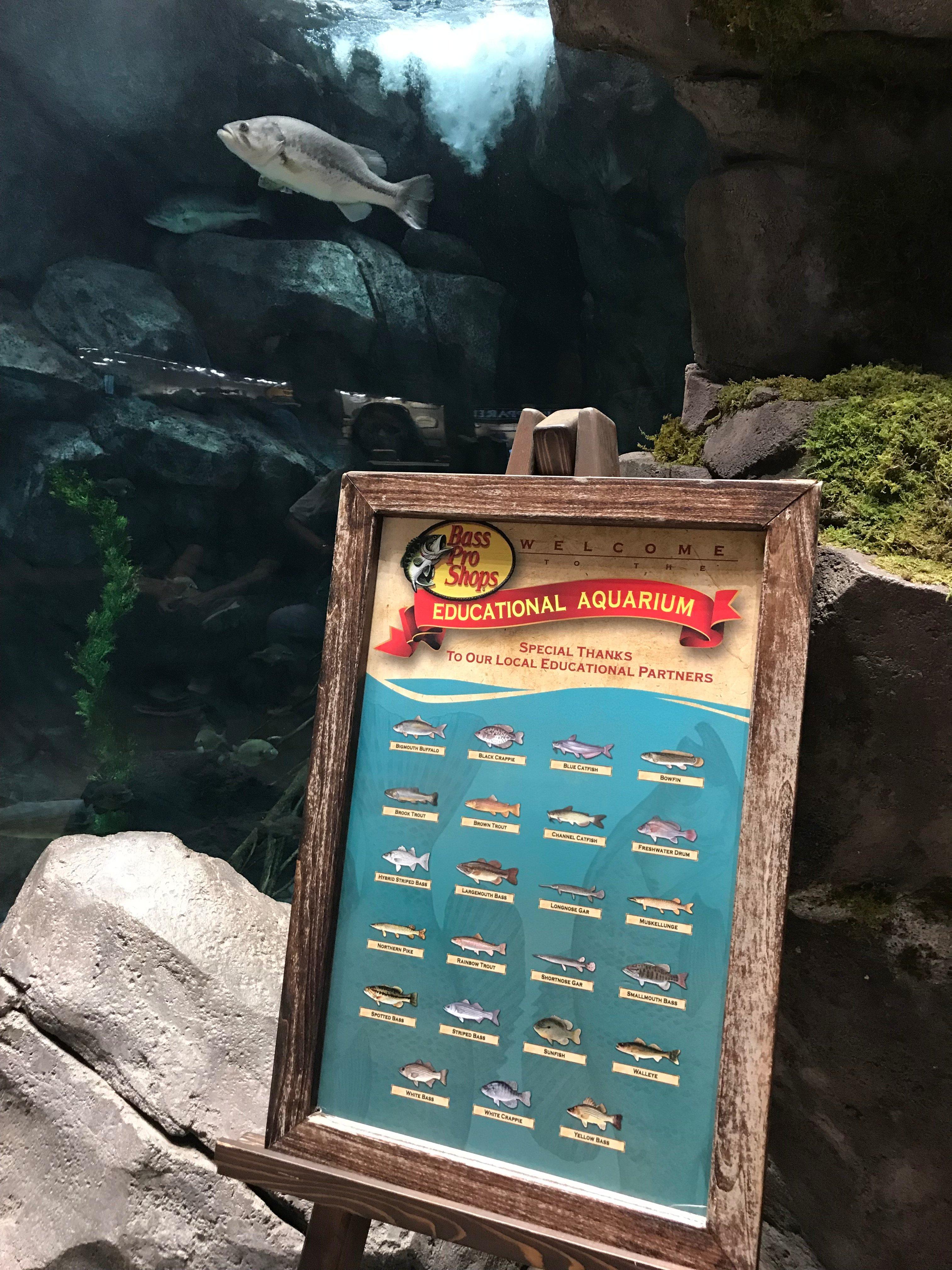 Bass Pro Shops