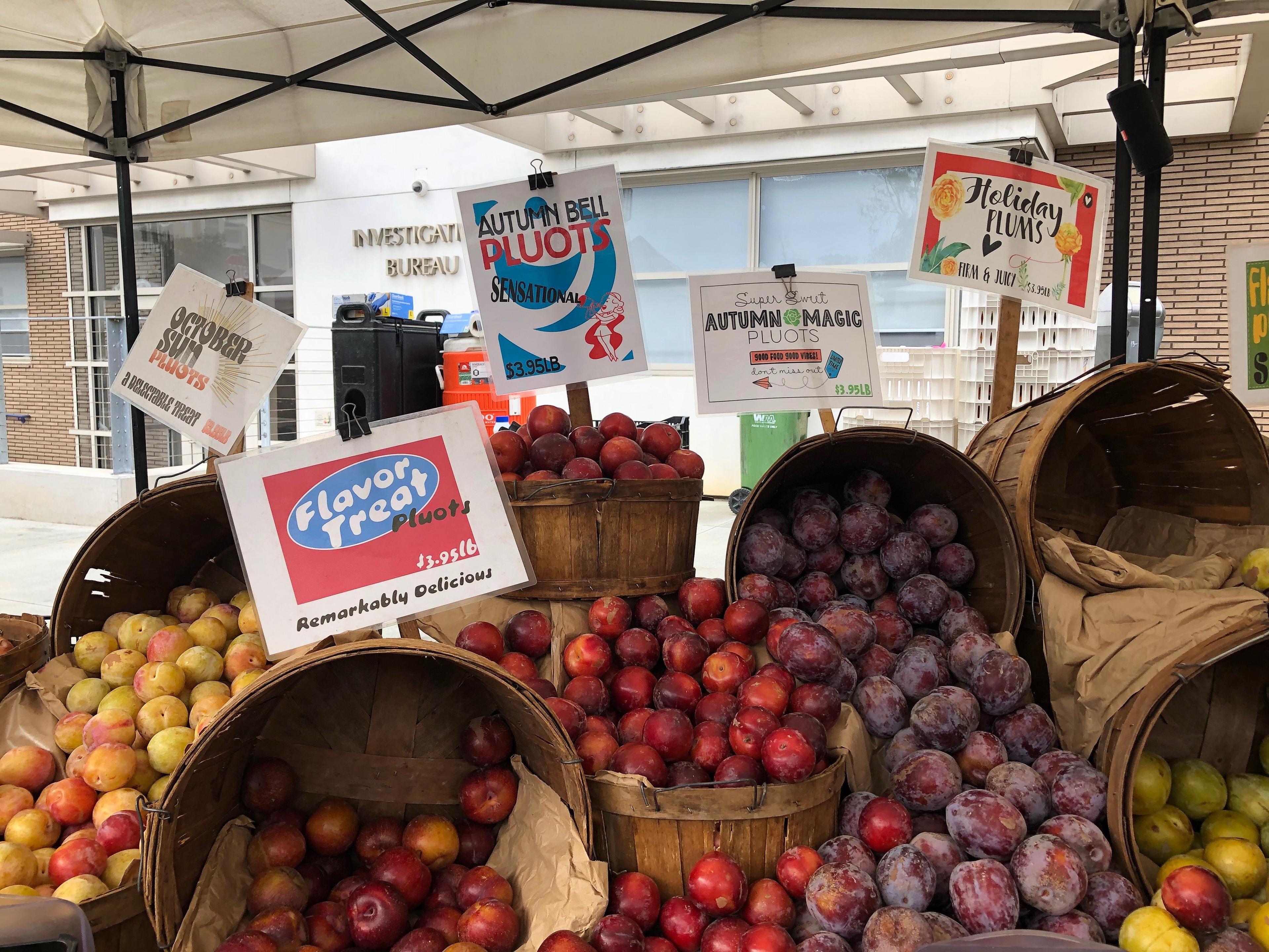 Manhattan Beach Farmers Market