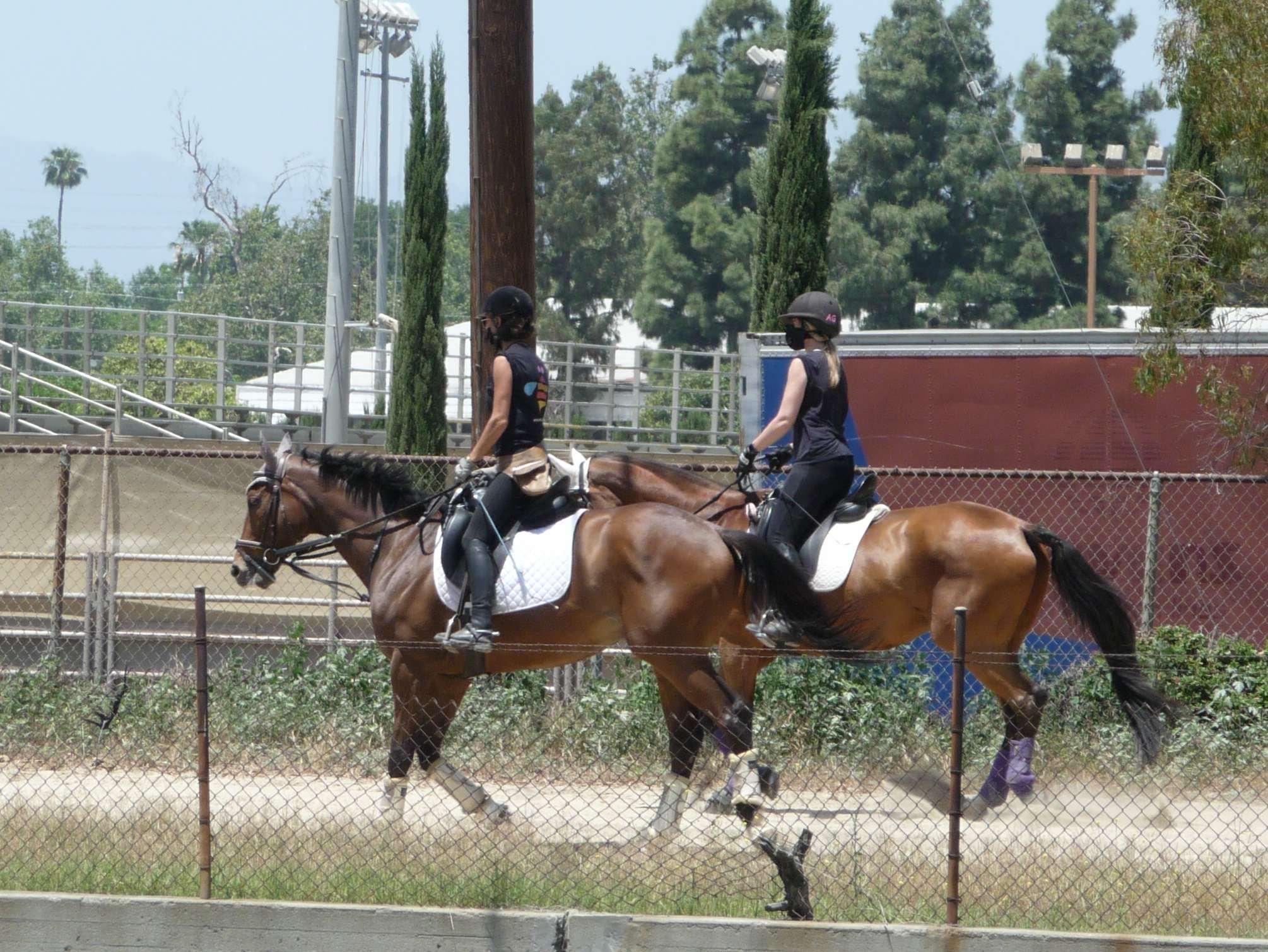 Langer Equestrian Group