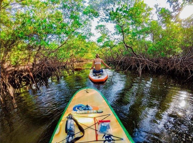 Sunrise Paddleboards