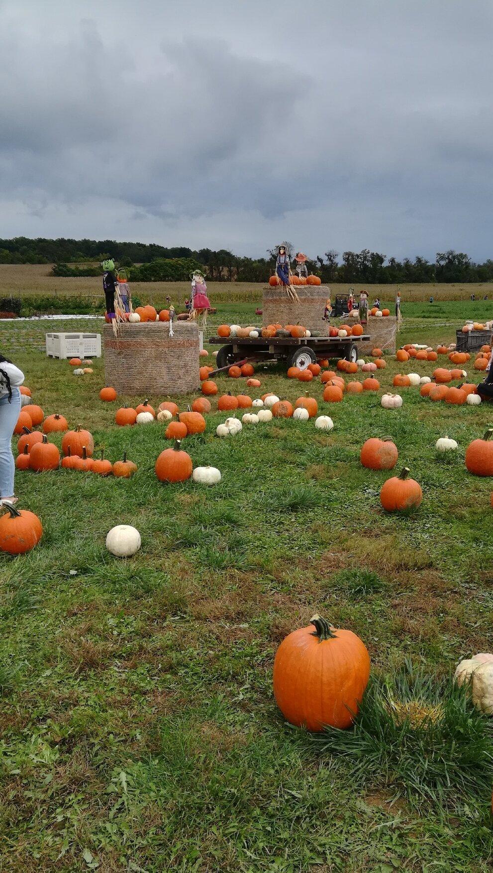 West Oaks Farm Market