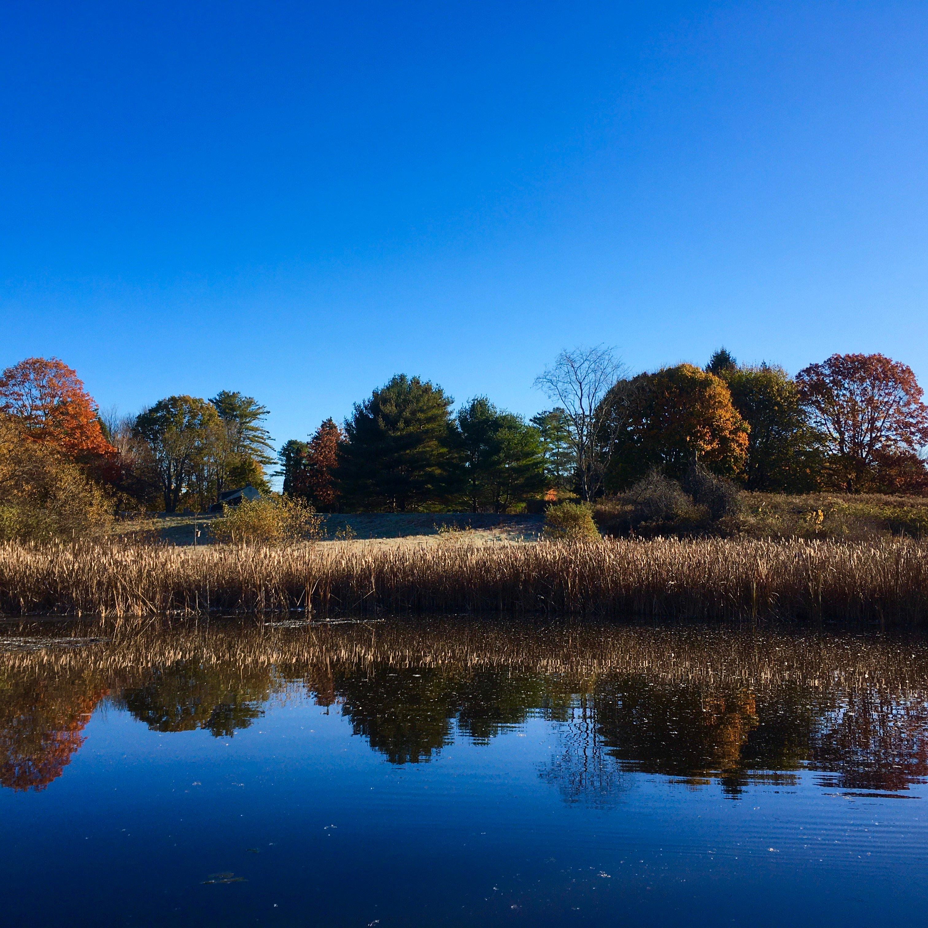 Gilsland Farm Audubon Center