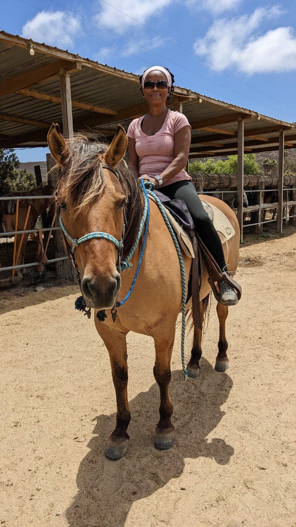 Pony Land Rides And Petting Zoo