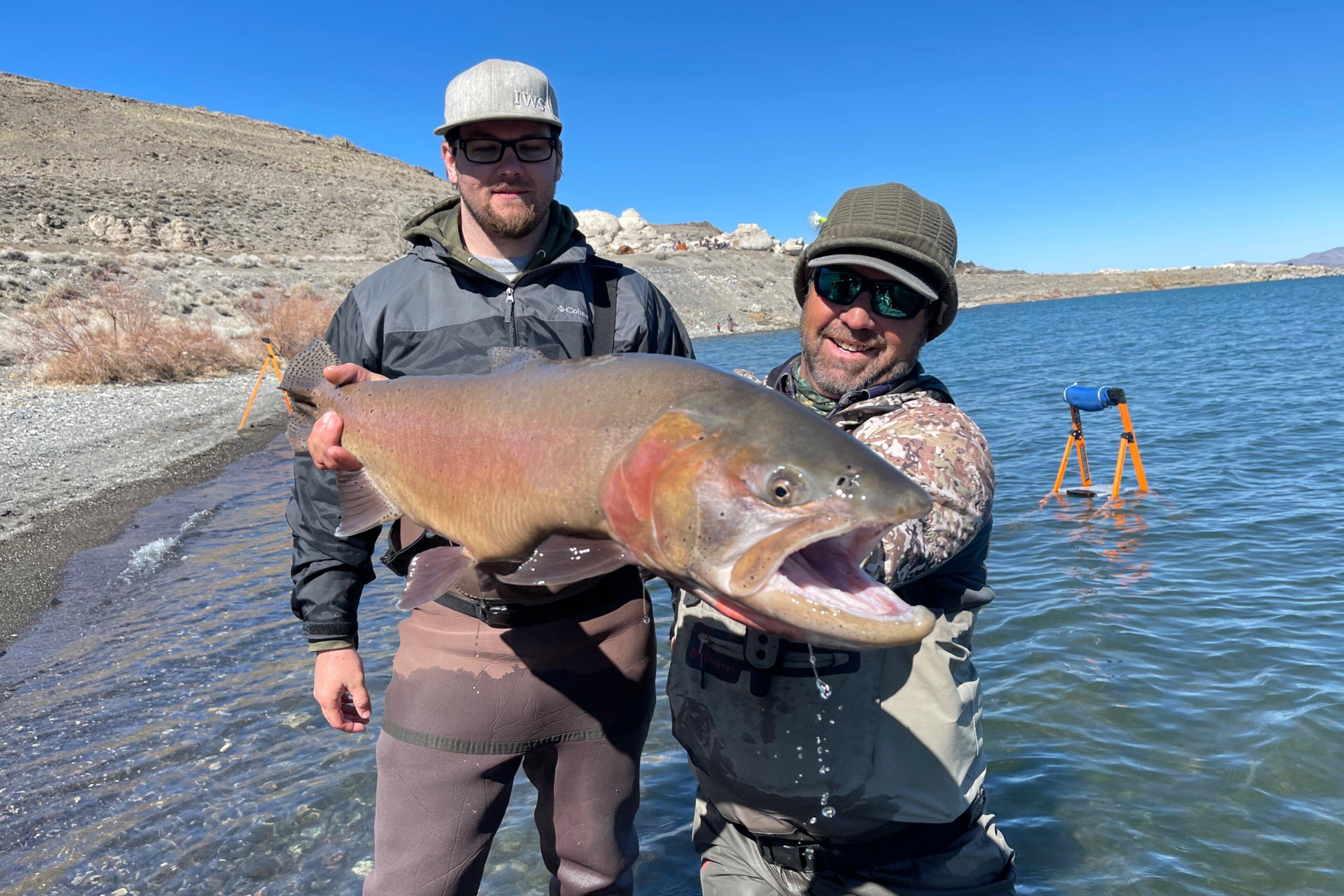 Bucking Trout Outfitters