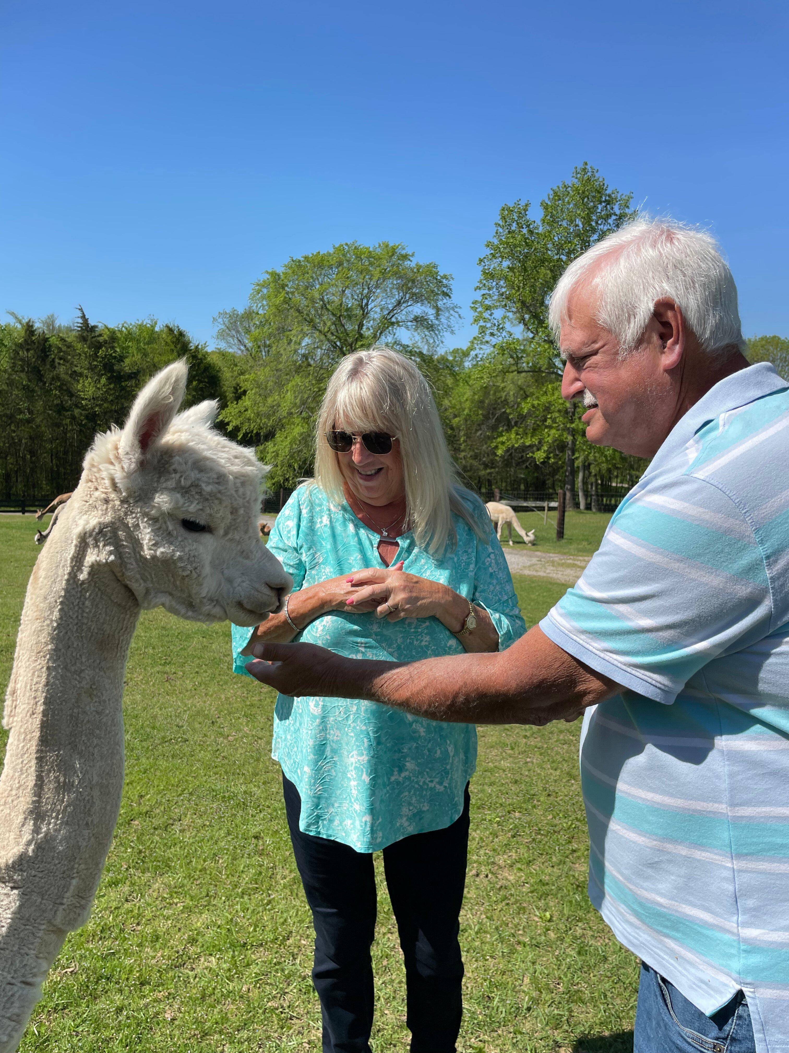 Mistletoe Farm Alpacas